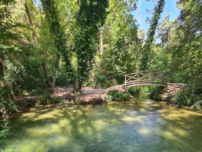 primavera en la Costa Blanca